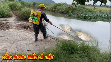  2 bố con Đi kích Cá ở cống bỏ hoang - Cống hoang nhiều cá Thật 