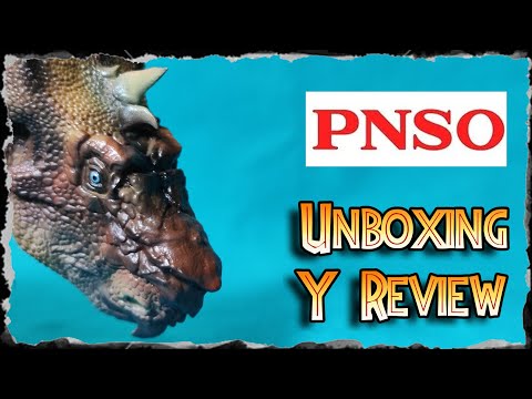 Unboxing y Review de Pachyrhinosaurus "Brian" PNSO !!!!!