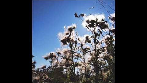Hello Meteor  - The Bluff Trail