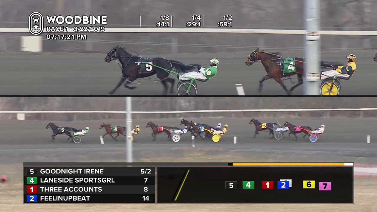 Woodbine, Mohawk Park, March 22, 2019 Race 1 - YouTube