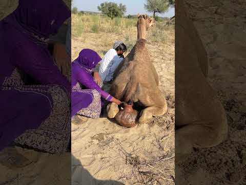 ال ف ت ى ال م اء م ن ال إ ن اء الط ين ي ي ب د أ الإ ن اء ف ي إ ص د ار ص و ت ك  ب ر ب ر