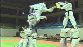 Stromotion Taekwondo Kick