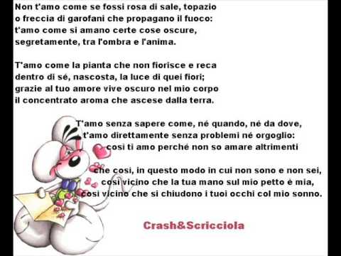 crash scricciola.wmv