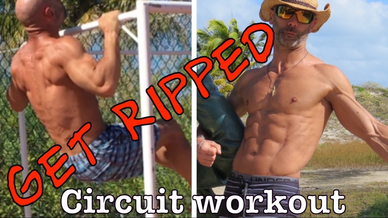 exercise 14.1 class 11 10 minute, full body workout, body weight circuit! fit and 50