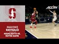 Stanford's Maxime Raynaud Highlights vs. Notre Dame