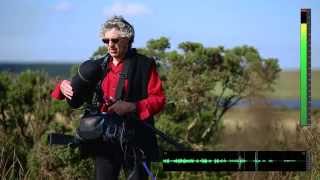 Cyclone by Rycote