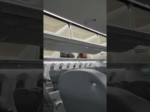 Norse's Premium Economy
