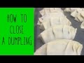 How to close a dumpling