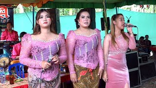 Mangku Purel Versi Cokek - Ajisaka - New Pesona Audio