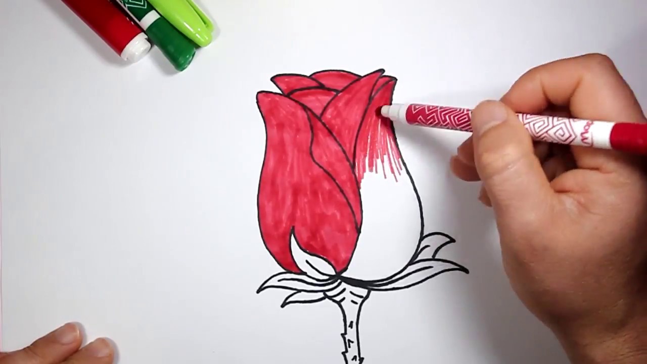 رسم وردة بالخطوات للمبتدئين  كيف ترسم وردة تعلم الرسم  Drawing a flower 🌹