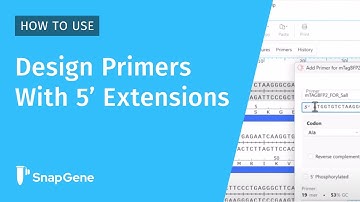 Design Primers with 5