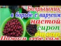 #Боярышник#дарыосени#полезныерецепты#народнаямедициназдоровье