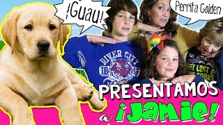 Un Día con JAMIE ¿NUESTRA NUEVA MASCOTA 🐶 😍 Paseo Baño y Juegos con PERRITA Golden Labrador