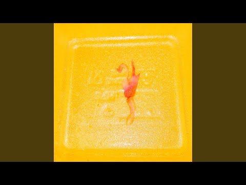 Walk auf YouTube ansehen Walk auf YouTube ansehen