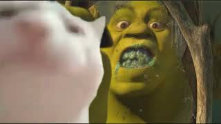 Cat Vibing To Shrek All Star