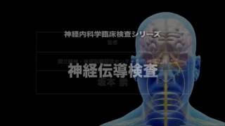 神経伝導検査：動画