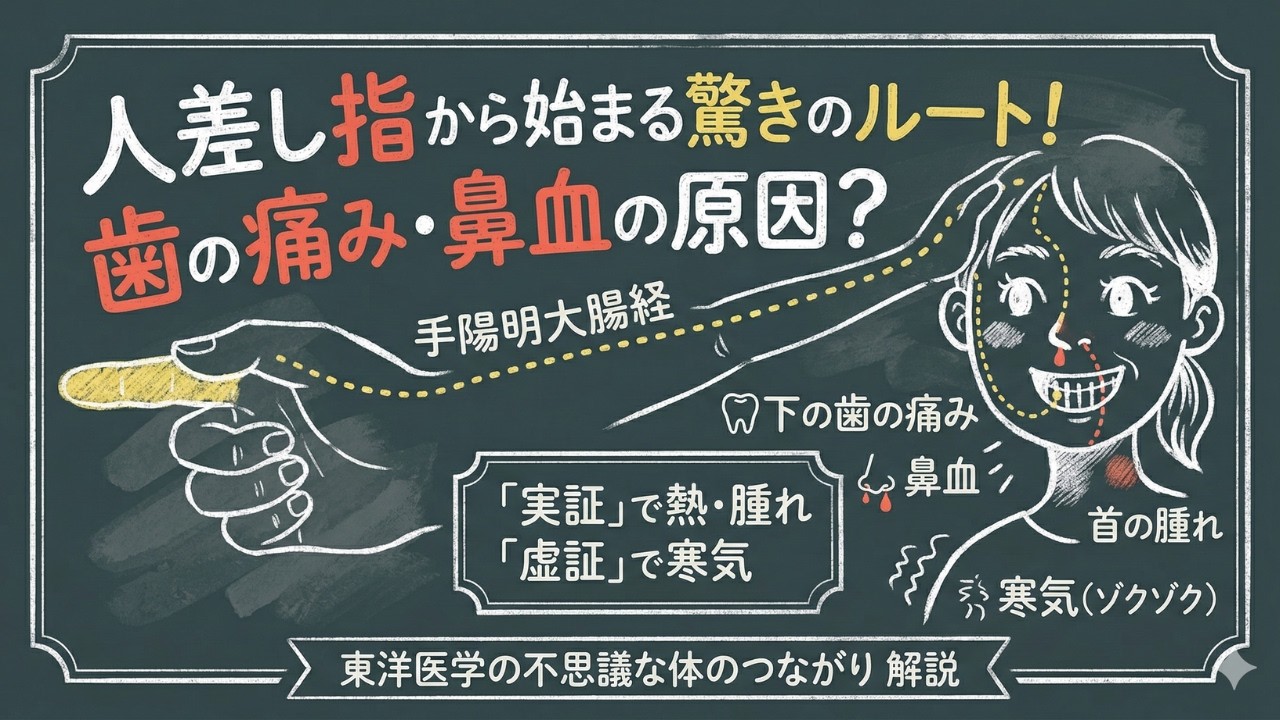 【西漢方薬店】手陽明大腸経の秘密