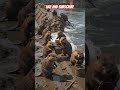 बाढ़ का पहला हमला #shorts #aivideo #miniatureworld #cats #beavers #viralshorts #storytelling