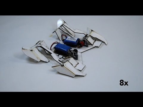 Self-folding robots