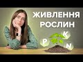 ЯКІ ЕЛЕМЕНТИ ЖИВЛЕННЯ ПОТРІБНІ ПШЕНИЦІ, ЯЧМЕНЮ, СОНЯШНИКУ, КУКУРУДЗІ та іншим культурам?