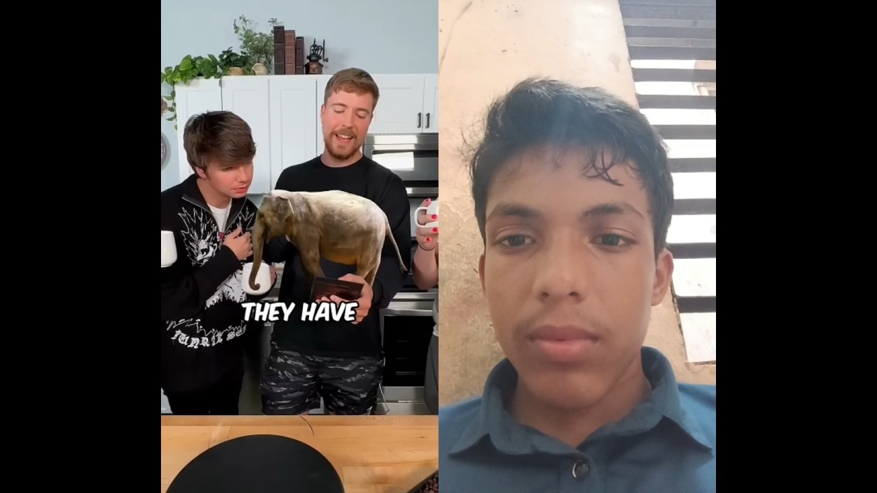 Mr beast  vsPTV software 