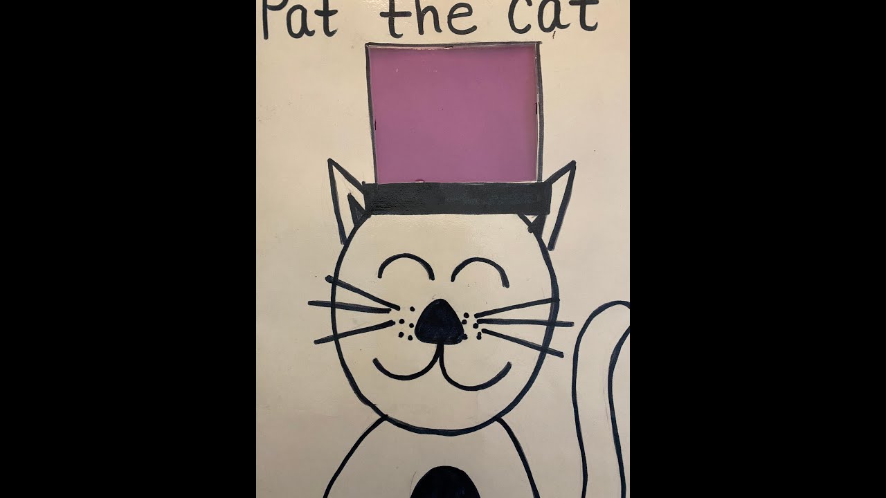 Pat the Cat