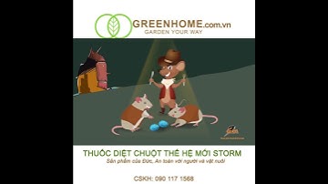 Thuốc Diệt Chuột Storm  hiệu quả, an toàn với người và vật nuôi, chính hãng BASF-CHLB Đức