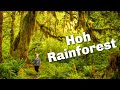 How to See Olympic National Park in One Day | Hoh Rainforest