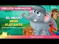 El Necio Bebé Elefante NUEVO Animado en Español | Cuentos infantiles para dormir