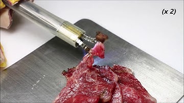 Portable Endoscopic Tool Handler (PETH) Attachable to Conventional Endoscope