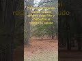 Los lujos del campo