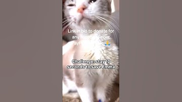 Any little bit of your donation counts however much small or big can make a huge difference