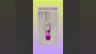 Watch This Liquid Evolve