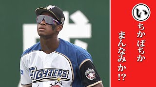 イチかバチか万波か…「本日のまとめるほどではない」まとめ。