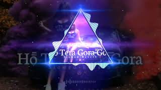 Ho Tera Gora Gora Rang||Jass Manak(Slowed+Reverb)|7ap Editor
