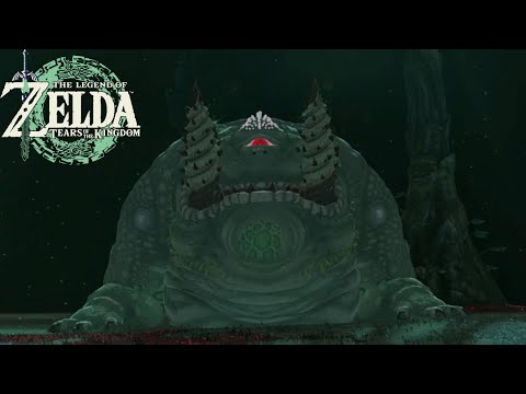 Zelda: Tears of The Kingdom - All BLUE- WHITE FROX Locations in Hebra's Depths