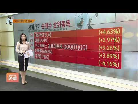 [서학개미 뭐샀나] 메타버스 관심 지속…홍콩 증시로 눈 돌린 서학개미