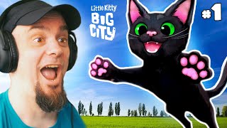 CAT SIMULATOR IN THE BIG CITY | LITTLE KITTY BIG CITY #1 screenshot 2