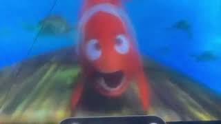 Finding Nemo righteous