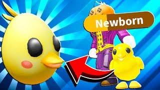 How To Get Adopt Me, Chick! Egg In Adopt Me Roblox Easter Egg Hunt 2020