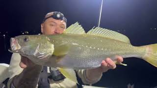 1 Lost a mulloway of a lifetime
