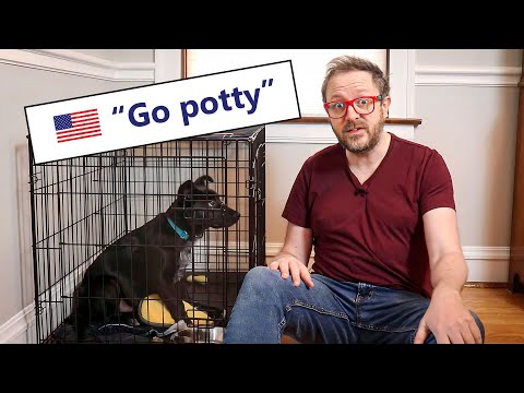 Video: 5 Origins Of Popular Dog Sayings