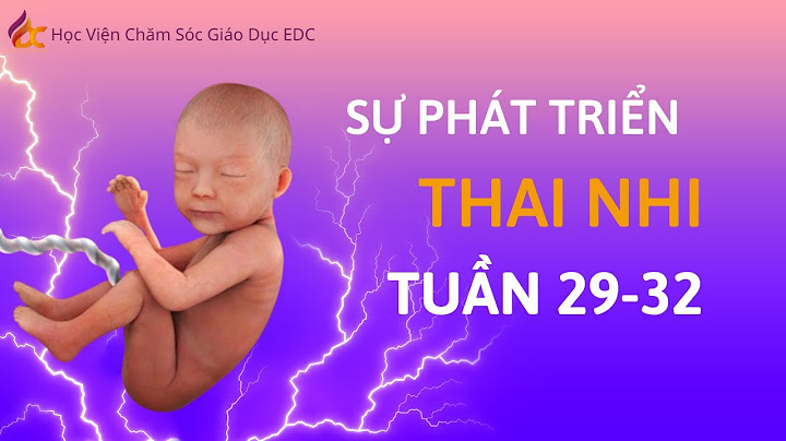 Thai nhi 29 tuần phát triển như thế nào năm 2024