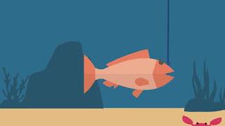 Sky Bird Animation 2