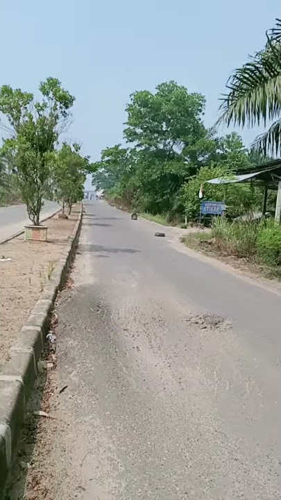 Anak kontol balap liar