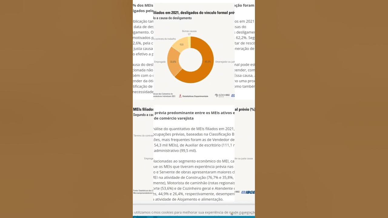 Em 2021, Brasil tinha 13,2 milhões de microempreendedores individuais  (MEIs)