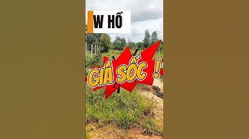 Đất Dầu Tiếng I Bán gấp lô view Hồ Dầu Tiếng 13.5 × 91 ( Tc 300 ) #datdautieng