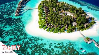 Vivre sur une île de rêve : ils tentent l'aventure au soleil