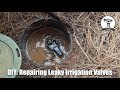 DIY: Easy and Cheap Leaky Irrigation Valve Repair