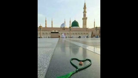 سورة التكاثر